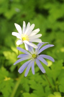20120501_162016
