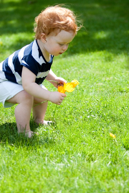 [20120525-IMG_38553.jpg]