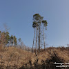 dsc06754.jpg