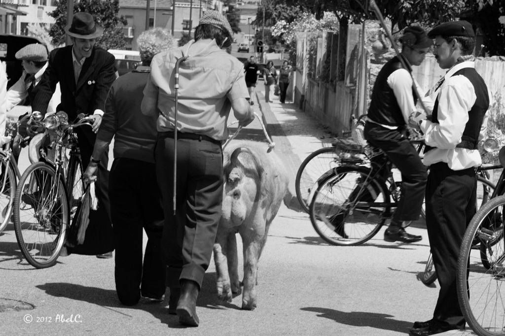 [DSC_3203bw%255B5%255D.jpg]