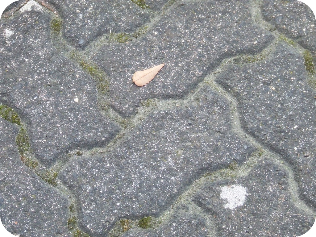 [texture%255B5%255D.jpg]