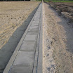 photo22.jpg