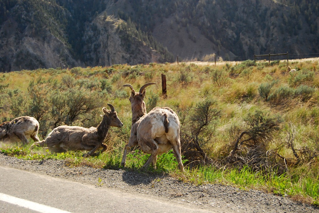 [DSC_0371%255B3%255D.jpg]