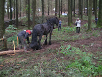 Ole Sandås med Aron