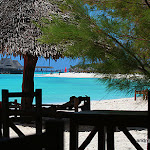 zanzibar-webdesign.jpg