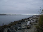 oregon_coast