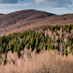 043_070652_pano.jpg