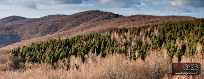 043_070652_pano.jpg