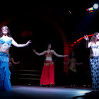 Document Name_3_55.JPG