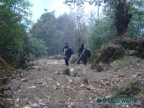 [Pathivarayatra463.jpg]