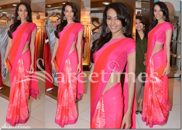 Dipannita_Sharma_Pink_Saree Dipannita_Sharma_Pink_Saree