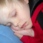 DSCN1814.jpg