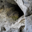 SDC12217.JPG