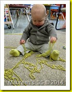 IMG_1445 IMG_1445