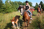 Uteritt 16 juli 2010