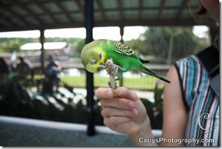 Gatorland (5 of 16)