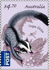 [aus%255B24%255D.jpg]