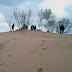 IMAG0026.jpg