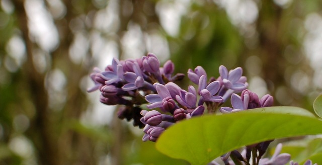 [DSC_5891%255B4%255D.jpg]