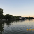 IMG_5694.JPG