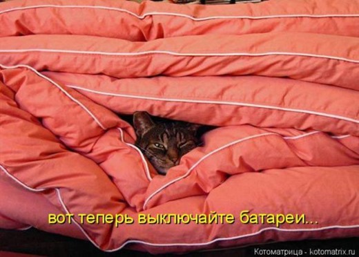 [a9f28d6501b6c72f1916f889955_prev%255B6%255D.jpg]