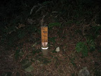IMG_4856_512.JPG