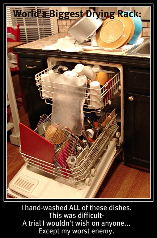 [my-dishwasher-is-broken4.jpg]