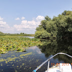 DSCN3070.JPG