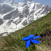 DSCN0413.JPG