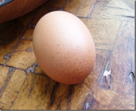 egg 011