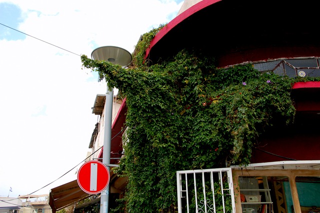 [DSC_0717%255B3%255D.jpg]