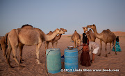 Al Hijla Bedouin Village, Marib