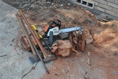 Stump6 Stump6