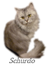 [schurdo-sign%255B2%255D.png]