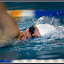 091121 Carquefou 014.jpg
