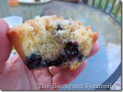 blueberry lemon streusel muffins - The Backyard Farmwife