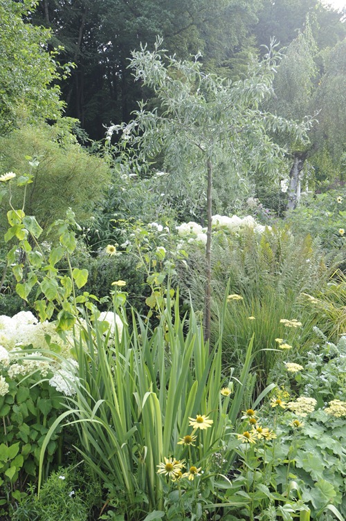 [20090823_160940%255B4%255D.jpg]