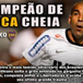 Exibir álbum