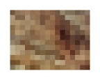 rock study 2, 2010, digital c-print (single edition), 16 x 20 in.