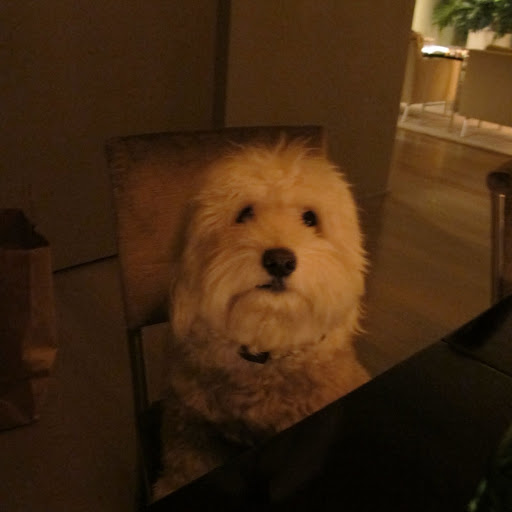 And Watts joined us at the dining room table.