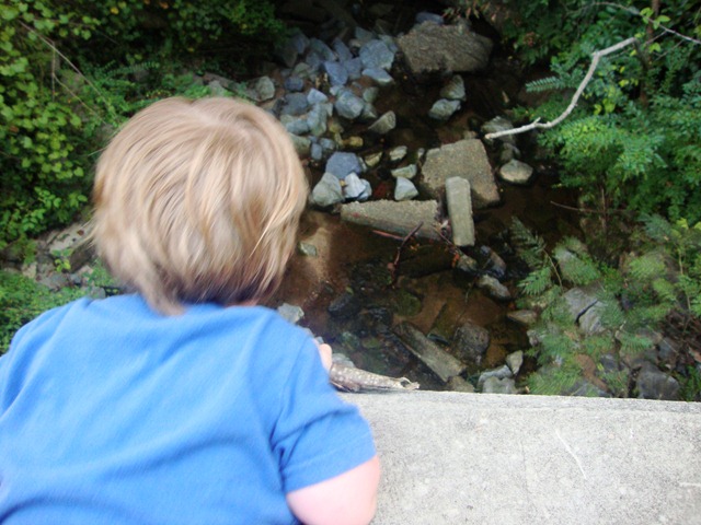 [DSC04125%255B2%255D.jpg]