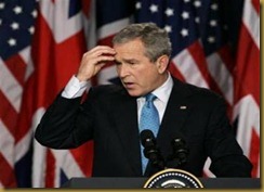 bushflag