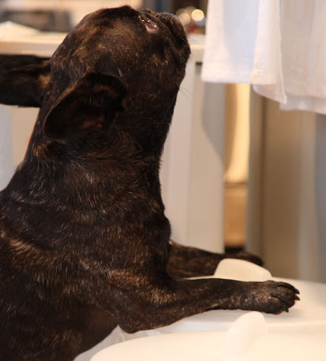 Say, I know that little morsel is headed for the chickens, but do you think I could have just a little nibble, first?
