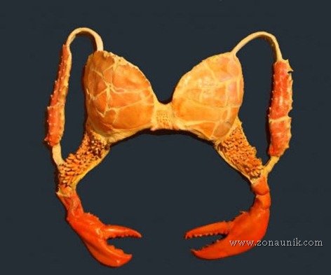Kepiting Kepiting
