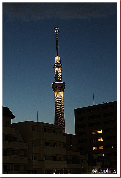 IMG_3416 IMG_3416