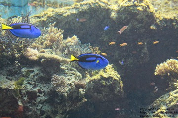 IMG_3003 IMG_3003