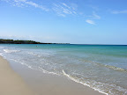 DSCN7266.JPG