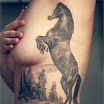 Stallion
