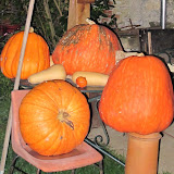 Dixmont_Cessoy_en_Montois Dixmont_Cessoy_en_Montois