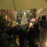 2009_12_05 Seeing the Tree with Larry, Debbie, Ned & Irene